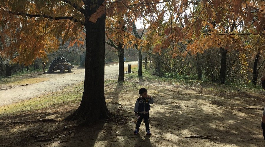 🌳 미토시 삼림공원(미토시 신린코엔) 이미지 13
